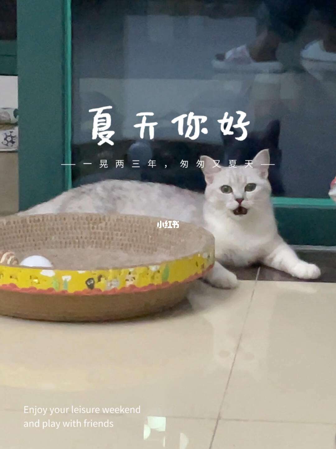 热猫剧苹果版(下载热猫直播平台)-第6张图片-有道翻译官网 热猫剧苹果版(下载热猫直播平台)-第6张图片-有道翻译官网